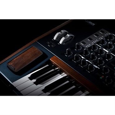 Arturia POLYBRUTE【※沖縄、一部離島へのお届けは送料別途お見積り】【代引き不可】 画像5