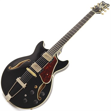 Ibanez Artcore Expressionist AMH90-BK (Black) 画像1