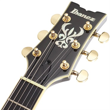 Ibanez Artcore Expressionist AMH90-BK (Black) 画像6