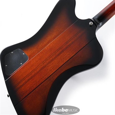 Epiphone Firebird (Vintage Sunburst) 画像7