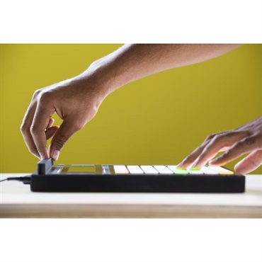 ableton Push2 - Live 11 Suite bundle 画像7