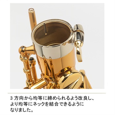 Selmer Paris アルトサックス セルマー Supreme シュプレーム DGL(ダークゴールドラッカー) 【調整&セットアップ後出荷】【5年間キーバランス調整無料】 画像1