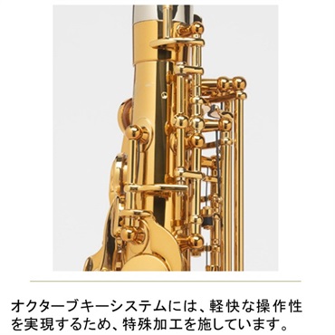Selmer Paris アルトサックス セルマー Supreme シュプレーム DGL(ダークゴールドラッカー) 【調整&セットアップ後出荷】【5年間キーバランス調整無料】 画像3