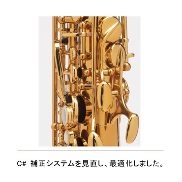 Selmer Paris アルトサックス セルマー Supreme シュプレーム DGL(ダークゴールドラッカー) 【調整&セットアップ後出荷】【5年間キーバランス調整無料】 画像4