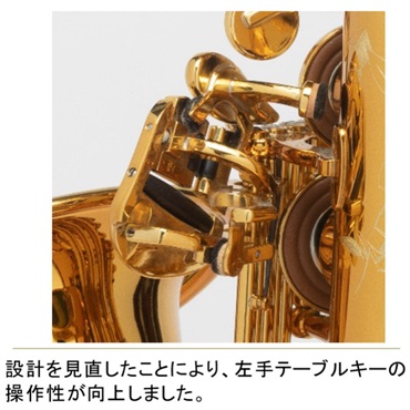 Selmer Paris アルトサックス セルマー Supreme シュプレーム DGL(ダークゴールドラッカー) 【調整&セットアップ後出荷】【5年間キーバランス調整無料】 画像5
