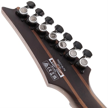 Ibanez Axion Label RGD71ALPA-CKF 画像7