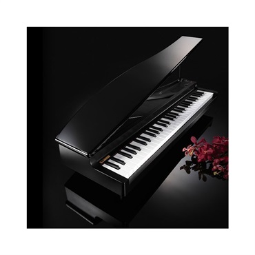 KORG 【夏先取り大特価セール】microPIANO BK ブラック【贈り物にも最適♪】 画像2