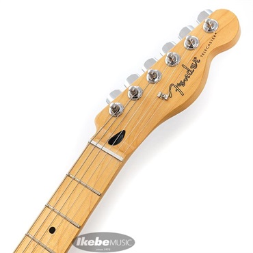 Fender MEX Player Telecaster (Butterscotch Blonde/Maple) [Made In Mexico]【旧価格品】 画像8