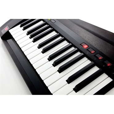 KORG 【夏先取り大特価セール】RK-100S 2 BK (限定特価) (ブラック) (KEYTAR) コルグ 画像5