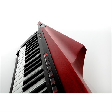KORG 【夏のボーナスセール】RK-100S 2 RD(レッド)(限定特価)(KEYTAR) 画像4
