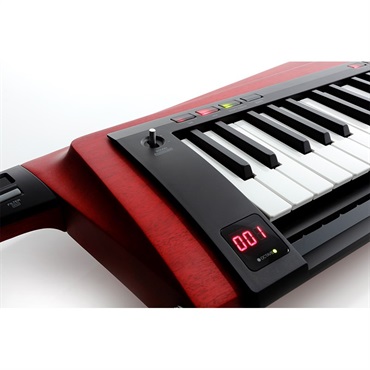KORG 【夏のボーナスセール】RK-100S 2 RD(レッド)(限定特価)(KEYTAR) 画像5