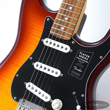 Fender MEX Player Stratocaster Plus Top (Tobacco Sunburst/Pau Ferro) [Made In Mexico]【旧価格品】 画像3