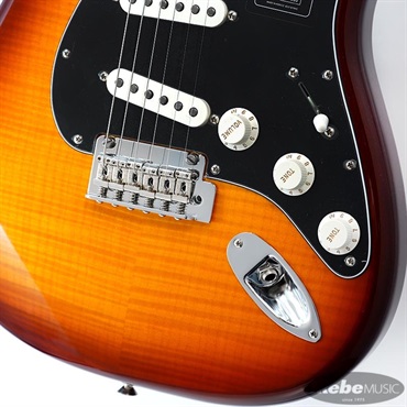 Fender MEX Player Stratocaster Plus Top (Tobacco Sunburst/Pau Ferro) [Made In Mexico]【旧価格品】 画像4