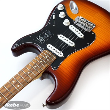 Fender MEX Player Stratocaster Plus Top (Tobacco Sunburst/Pau Ferro) [Made In Mexico]【旧価格品】 画像5