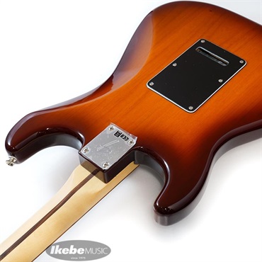 Fender MEX Player Stratocaster Plus Top (Tobacco Sunburst/Pau Ferro) [Made In Mexico]【旧価格品】 画像6