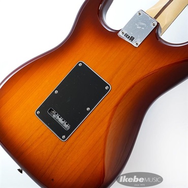 Fender MEX Player Stratocaster Plus Top (Tobacco Sunburst/Pau Ferro) [Made In Mexico]【旧価格品】 画像7
