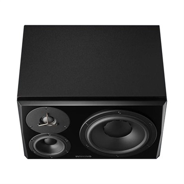 DYNAUDIO PRO LYD 48 BLACK ペア(お取り寄せ商品) 画像2