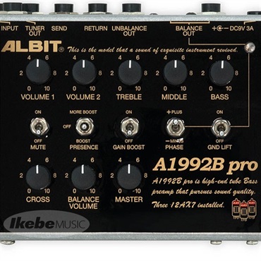 ALBIT A1992B pro Custom [IKEBE Order Model] 画像7