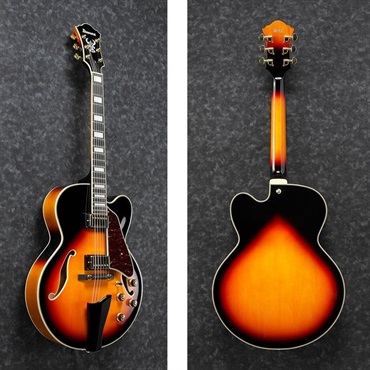 Ibanez Artcore Expressionist AF95-BS 画像1