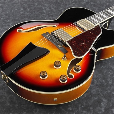Ibanez Artcore Expressionist AF95-BS 画像2