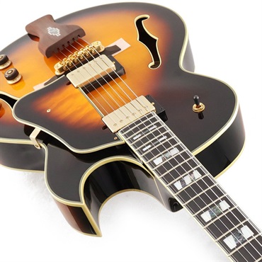 Ibanez Artcore Expressionist AF95-BS 画像4