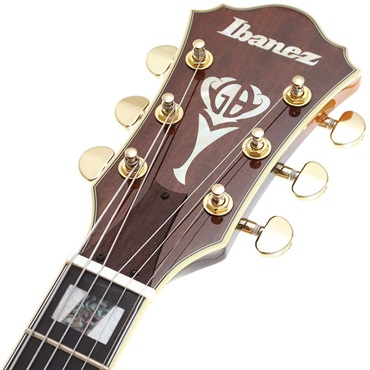 Ibanez Artcore Expressionist AF95-BS 画像6