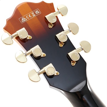 Ibanez Artcore Expressionist AF95-BS 画像7