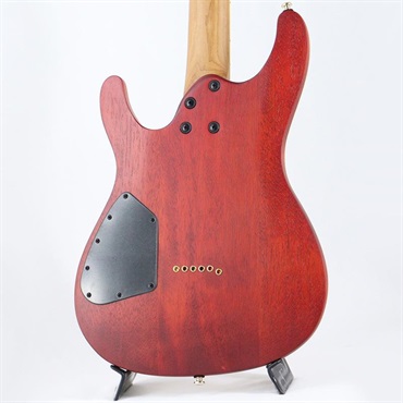 Ibanez SEW761FM-NTF (Natural Flat) 画像3