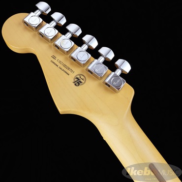 Fender USA American Professional II Stratocaster (Sienna Sunburst /Maple) 【The Spring Summer 2026 Campaign】 画像6