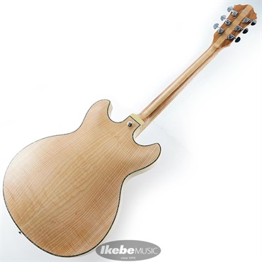 Ibanez ARTSTAR ASV113-RNT 【特価】 画像2