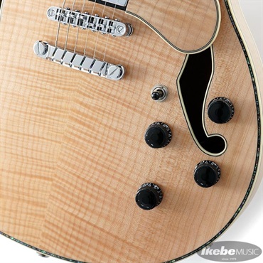 Ibanez ARTSTAR ASV113-RNT 【特価】 画像4