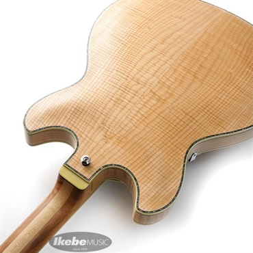 Ibanez ARTSTAR ASV113-RNT 【特価】 画像6