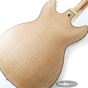 Ibanez ARTSTAR ASV113-RNT 【特価】 画像7