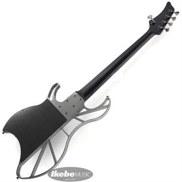 EVO EVO BASS B0101Z-5 aguilar D-Silver GK-MOD Proto 画像3