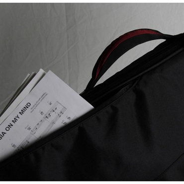 Reunion Blues Aero Series Electric Guitar Case AERO-E1 [エレキギター用] 【特価品】 画像2