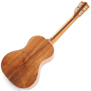 FUJIGEN 【生産完了モデル】FGN Acoustic Tenor FUS-TT フジゲン 画像1
