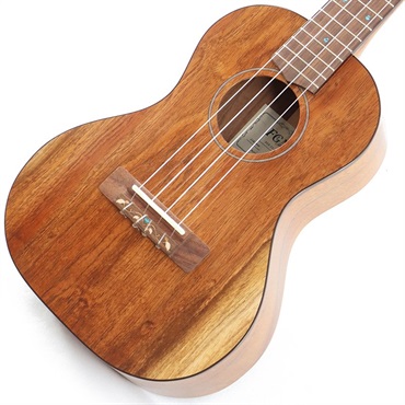 FUJIGEN 【生産完了モデル】FGN Acoustic Tenor FUS-TT フジゲン 画像2