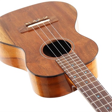 FUJIGEN 【生産完了モデル】FGN Acoustic Tenor FUS-TT フジゲン 画像3
