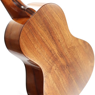 FUJIGEN 【生産完了モデル】FGN Acoustic Tenor FUS-TT フジゲン 画像4