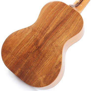 FUJIGEN 【生産完了モデル】FGN Acoustic Tenor FUS-TT フジゲン 画像5