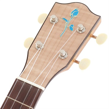 FUJIGEN 【生産完了モデル】FGN Acoustic Tenor FUS-TT フジゲン 画像6