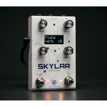GFISYSTEM SKYLAR REVERB（ジーエフアイシステム）リバーブ 画像2