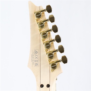 Ibanez PIA3761-XB (Onyx Black) [Steve Vai Model] 画像9