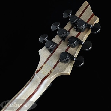 SCHECTER C-1 APOCALYPSE  [AD-C-1-APOC] (RDR) 画像6