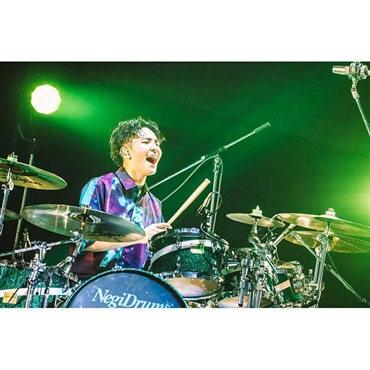 Negi Drums NBNK1465D [Novelbright ねぎ Model] 【直筆サイン入りヘッドプレゼント！】 画像7