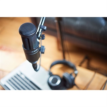 audio-technica AT2020(バックエレクトレット・コンデンサーマイクロホン)(単一指向性)(オーディオテクニカ) 画像9