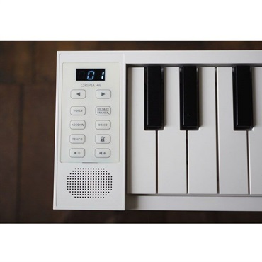 TAHORNG ORIPIA49 49鍵盤 折りたたみ式電子ピアノ MIDIキーボード オリピア タホーン 画像3