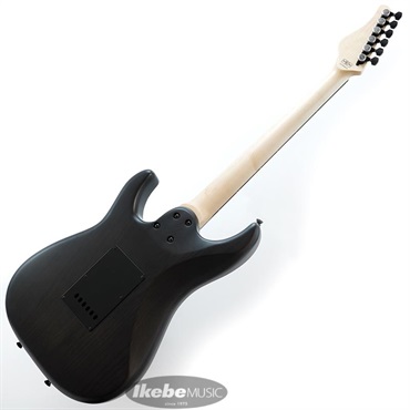 SCHECTER SD-2-24-AS-VTR-BR (SCB/R) [SPOT MODEL] 画像2
