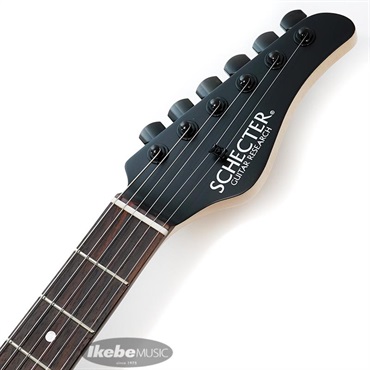 SCHECTER SD-2-24-AS-VTR-BR (SCB/R) [SPOT MODEL] 画像8
