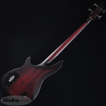 SCHECTER HELLRAISER EXTREME-4 [AD-HR-EX-BASS-4] (CRBS) 画像2